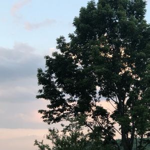 Meet your Posher, E&k